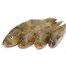 Baila/ Ryba Baila Cala 500g