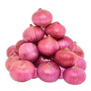 Indian Big Onion/ Cebula Czerwona Indyjska