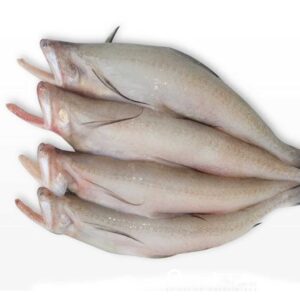 Loittia/ Ryba Loitta 500g