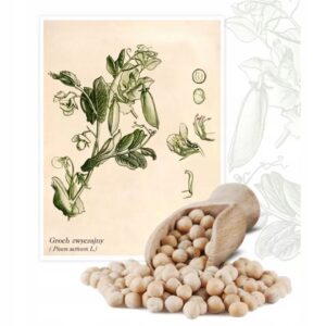 Groch Polny Konsupcyjny Field Pea AB 1kg